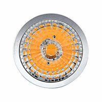 Interlight Camita Lens | MR16 36° voor IL-C en IL-MC