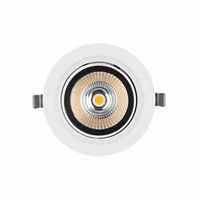 Ledvance  SP VARIO DN170 35W4000 WT