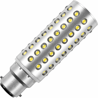 Schiefer  LED T32x110mm 110V 60mA 5W 6500K 550Lm Anodized Alu/IP66 EMC