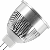Schiefer ledspot gu5.3 mr16 pmma 4w 50x62mm 12v 2700k