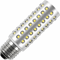 Schiefer  LED T32x110mm 110V 60mA 5W 6500K550Lm 30Khrs Anodized Alu/IP66 EMC