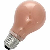 Schiefer E27 60W GLS 60x105mm flame