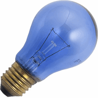 Schiefer gloeilamp daglicht E27 100W 60x105mm 230v neodyme reptiel