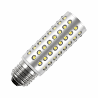 Schiefer  E27 T32x110 240V 60mA 5W 6500K 550Lm 30K uur geanodiseerd Alu/IP66
