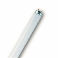 Ledvance L 36W/954-1 FLH1