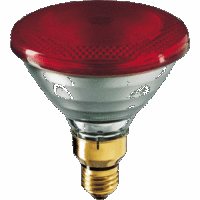 Philips PAR38 IR 100W E27 230V Red 1CT/12