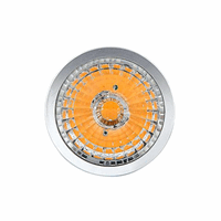 Interlight Camita Lens | track 33/38W 60°