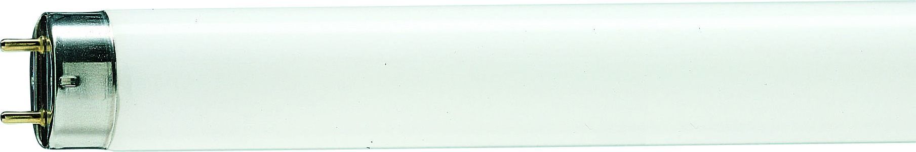 Philips Master Actinic | BL TL-D 18W | 59cm Insectenlamp